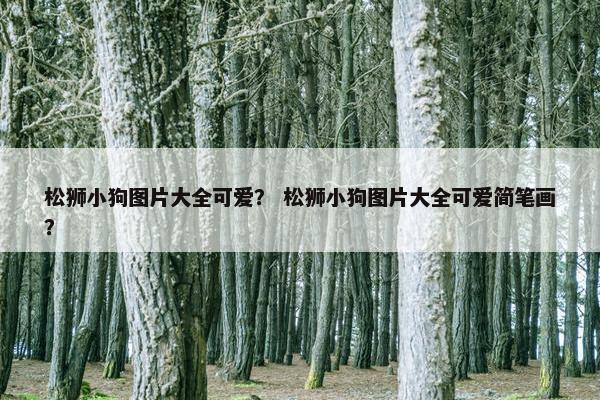 松狮小狗图片大全可爱？ 松狮小狗图片大全可爱简笔画？