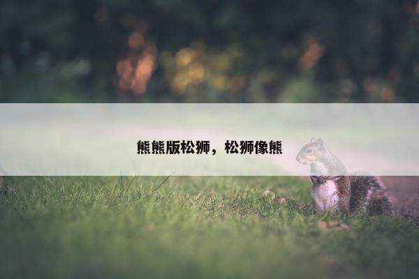 熊熊版松狮，松狮像熊