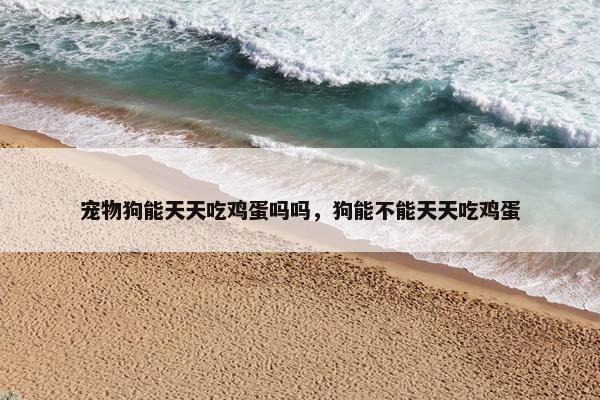 宠物狗能天天吃鸡蛋吗吗,狗能不能天天吃鸡蛋