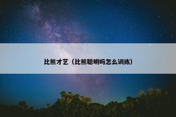 比熊才艺(比熊聪明吗怎么训练)
