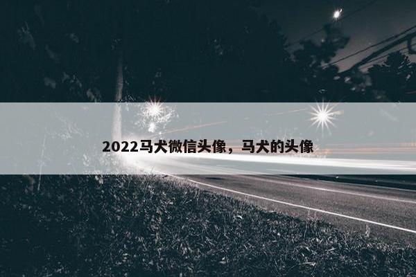 2022马犬微信头像,马犬的头像
