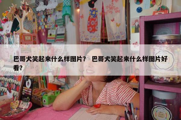 巴哥犬笑起来什么样图片? 巴哥犬笑起来什么样图片好看?