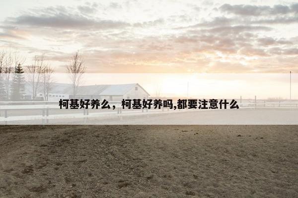 柯基好养么，柯基好养吗,都要注意什么