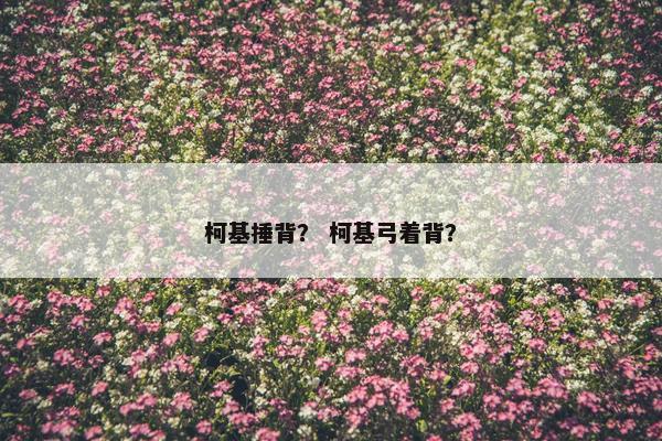 柯基捶背? 柯基弓着背?