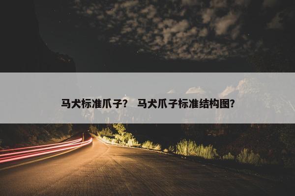 马犬标准爪子? 马犬爪子标准结构图?