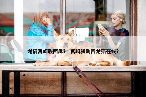 龙猫宫崎骏西瓜? 宫崎骏动画龙猫在线?