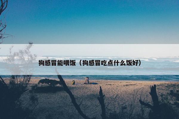 狗感冒能喂饭(狗感冒吃点什么饭好)