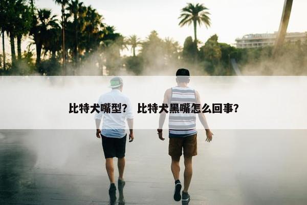 比特犬嘴型? 比特犬黑嘴怎么回事?