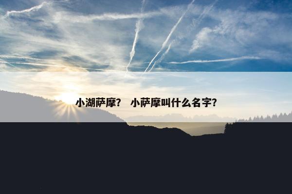 小湖萨摩? 小萨摩叫什么名字?