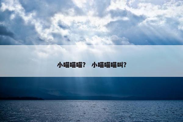 小喵喵喵? 小喵喵喵叫?