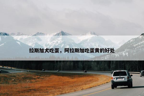 拉斯加犬吃蛋,阿拉斯加吃蛋黄的好处