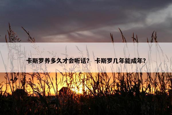 卡斯罗养多久才会听话? 卡斯罗几年能成年?
