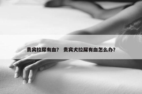 贵宾拉尿有血? 贵宾犬拉屎有血怎么办?