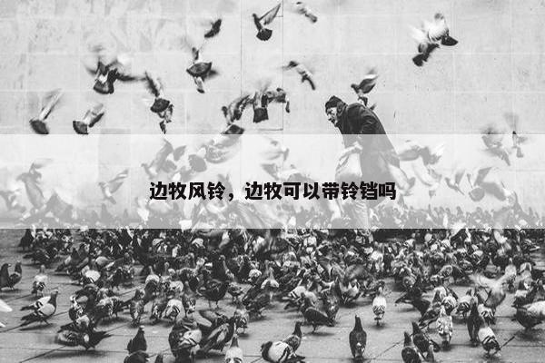 边牧风铃,边牧可以带铃铛吗