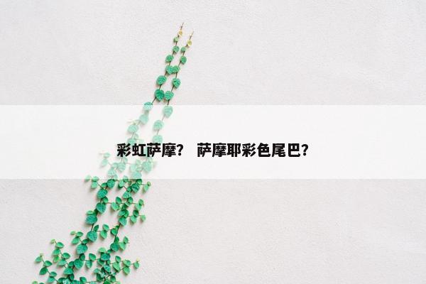 彩虹萨摩? 萨摩耶彩色尾巴?