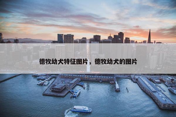 德牧幼犬特征图片，德牧幼犬的图片