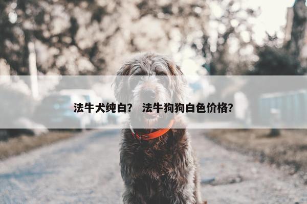 法牛犬纯白? 法牛狗狗白色价格?