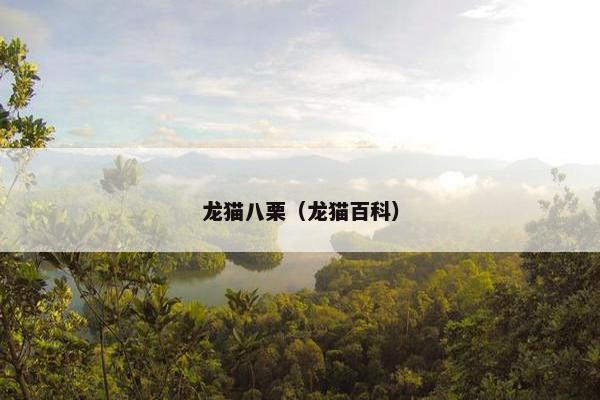 龙猫八栗（龙猫百科）