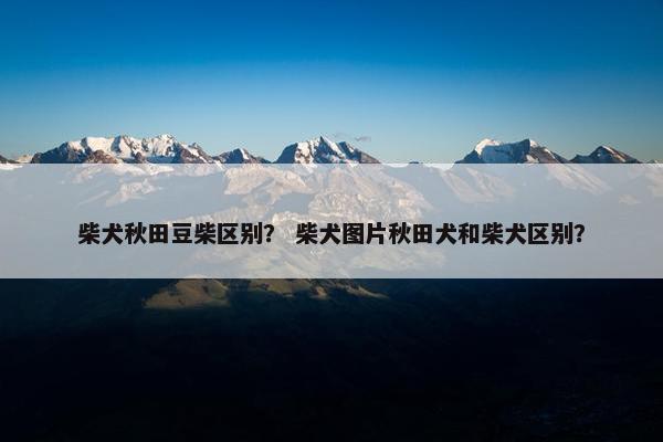 柴犬秋田豆柴区别? 柴犬图片秋田犬和柴犬区别?