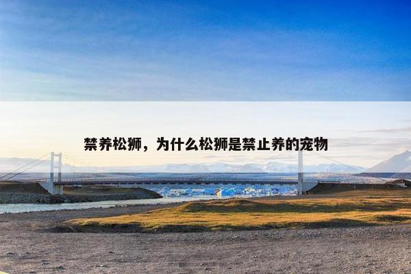 禁养松狮,为什么松狮是禁止养的宠物