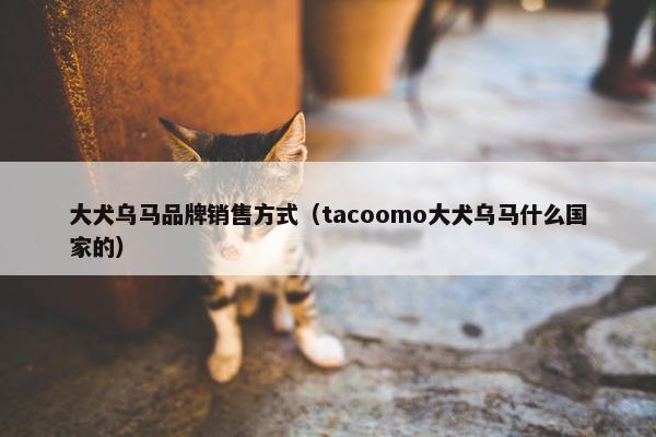 大犬乌马品牌销售方式（tacoomo大犬乌马什么国家的）