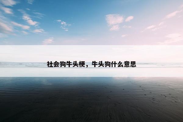 社会狗牛头梗,牛头狗什么意思