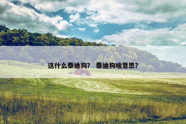 这什么泰迪狗? 泰迪狗啥意思?