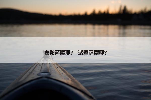 东阳萨摩耶? 诸暨萨摩耶?