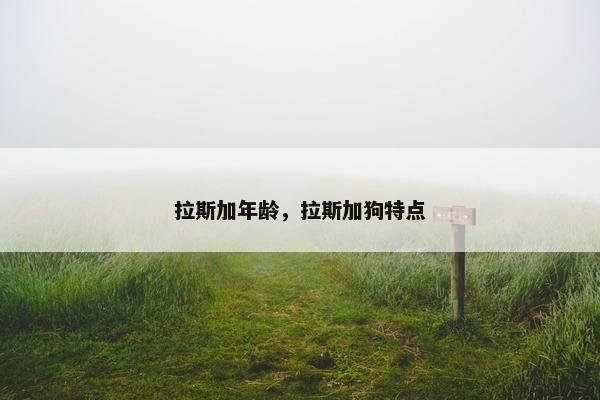 拉斯加年龄,拉斯加狗特点