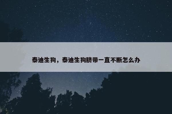 泰迪生狗,泰迪生狗脐带一直不断怎么办
