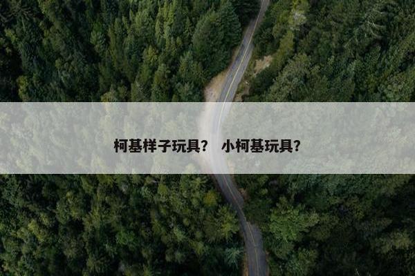 柯基样子玩具? 小柯基玩具?