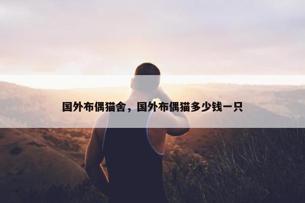 国外布偶猫舍,国外布偶猫多少钱一只
