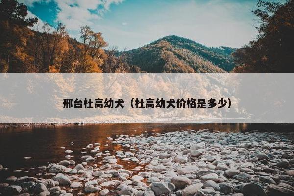 邢台杜高幼犬(杜高幼犬价格是多少)