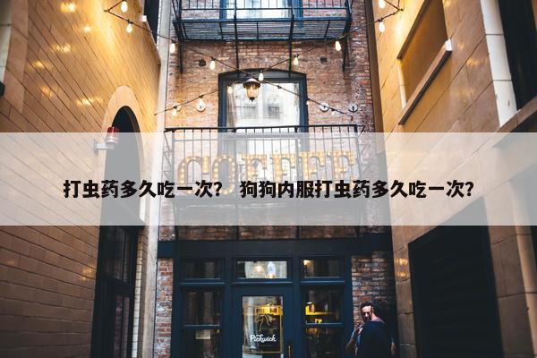 打虫药多久吃一次? 狗狗内服打虫药多久吃一次?