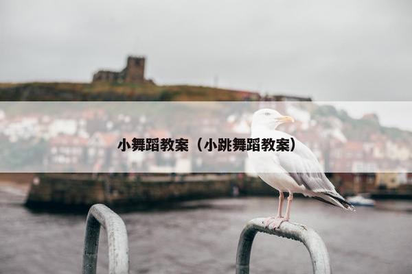 小舞蹈教案(小跳舞蹈教案)
