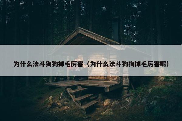 为什么法斗狗狗掉毛厉害(为什么法斗狗狗掉毛厉害呢)