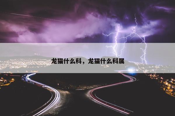 龙猫什么科，龙猫什么科属
