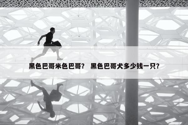 黑色巴哥米色巴哥? 黑色巴哥犬多少钱一只?