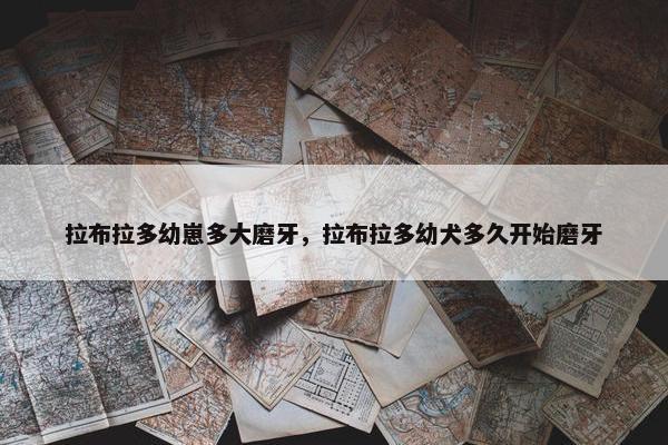 换牙 第6页