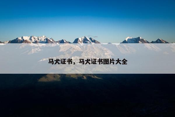 马犬证书,马犬证书图片大全