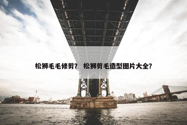 松狮毛毛修剪？ 松狮剪毛造型图片大全？