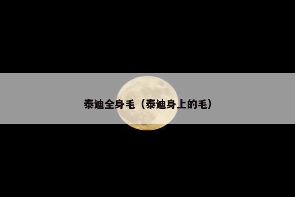 泰迪全身毛(泰迪身上的毛)