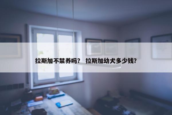 拉斯加不禁养吗? 拉斯加幼犬多少钱?