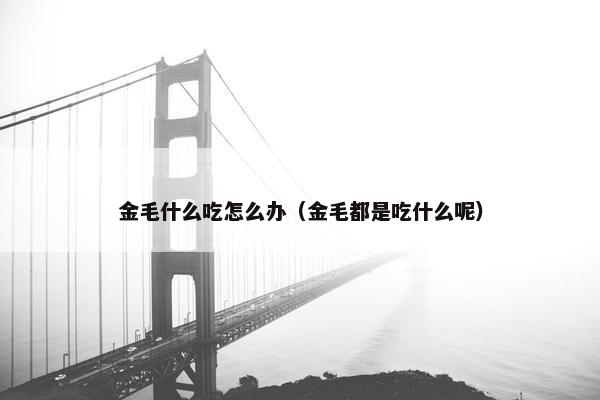 金毛什么吃怎么办(金毛都是吃什么呢)