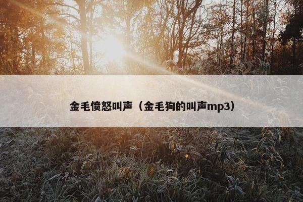 金毛愤怒叫声(金毛狗的叫声mp3)