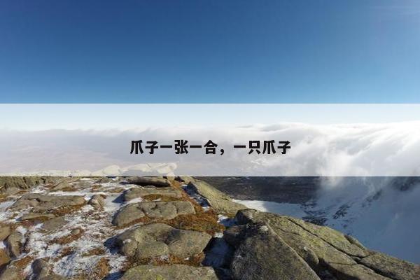 爪子一张一合,一只爪子