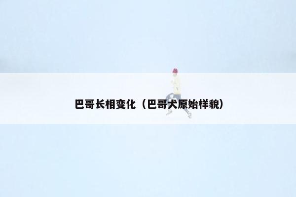 巴哥长相变化(巴哥犬原始样貌)