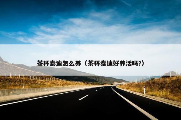 茶杯泰迪怎么养(茶杯泰迪好养活吗?)