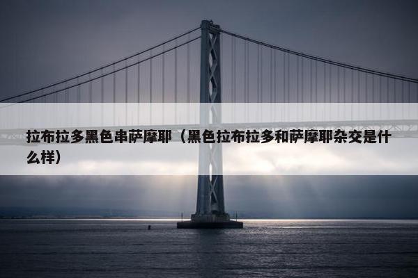 拉布拉多黑色串萨摩耶（黑色拉布拉多和萨摩耶杂交是什么样）