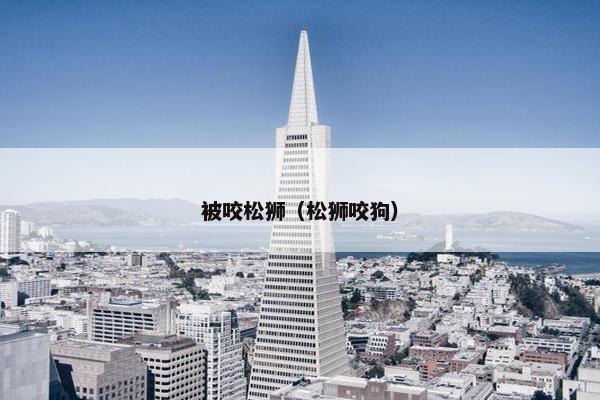 被咬松狮（松狮咬狗）